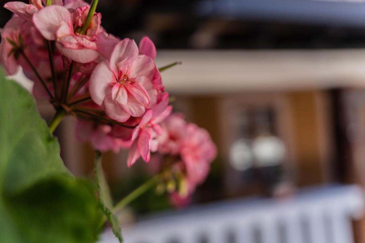 Casa Graciela Hotel Pátzcuaro Zewnętrze zdjęcie